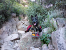 photo thumbnail #6