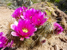 photo thumbnail #11