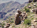 photo thumbnail #14