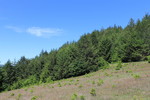 photo thumbnail #7