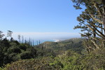 photo thumbnail #11