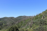 photo thumbnail #12