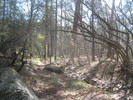 photo thumbnail #11