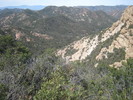 recent photo