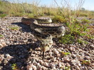 photo thumbnail #1