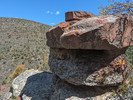 photo thumbnail #5