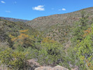 photo thumbnail #7