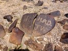 photo thumbnail #7