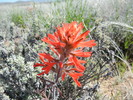 photo thumbnail #10