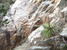 photo thumbnail #3