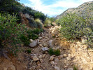photo thumbnail #12