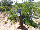 photo thumbnail #14