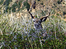 2015-03-30 :3: La Barge Mountain and LA BARGE :: FLYING_FLIVER