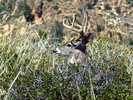 2015-03-30 :3: La Barge Mountain and LA BARGE :: FLYING_FLIVER