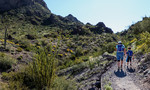 photo thumbnail #1