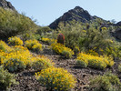 photo thumbnail #3
