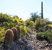 photo thumbnail #8