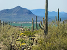 photo thumbnail #15