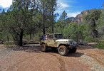 photo thumbnail #3