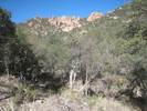 photo thumbnail #5