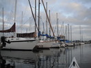 photo thumbnail #1