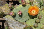 photo thumbnail #13