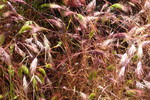 photo thumbnail #14