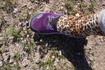 photo thumbnail #11