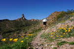 photo thumbnail #15