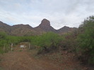 photo thumbnail #1