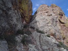 photo thumbnail #2