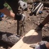 photo thumbnail #8