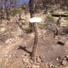 2015-04-03 :2: Four Peaks - AZT #20 :: Sredfield