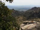 photo thumbnail #8