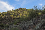 photo thumbnail #2