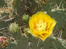 photo thumbnail #10