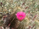 photo thumbnail #12