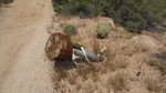 photo thumbnail #6