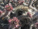 photo thumbnail #9