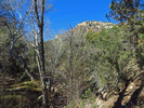 photo thumbnail #1
