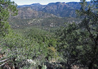 photo thumbnail #13