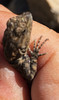 photo thumbnail #2