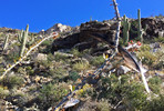 photo thumbnail #3