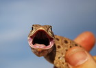 photo thumbnail #2
