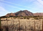 photo thumbnail #1