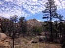 photo thumbnail #12