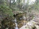 photo thumbnail #11
