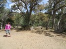 photo thumbnail #12