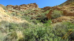 photo thumbnail #9