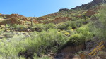 photo thumbnail #13